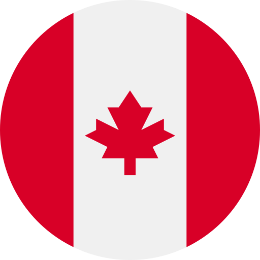 Flag 6